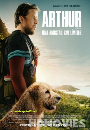 Arthur the King 2024 Full Movie Download Free WebRip 720p Multi Audio